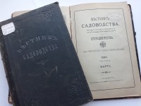 Свидетели времени: дореволюционная периодика